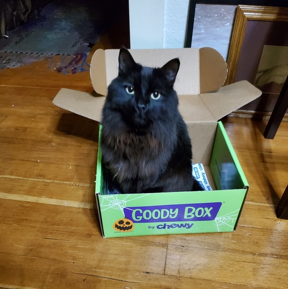 Meet your Posher, T. Enigma - Picture 3 of 4